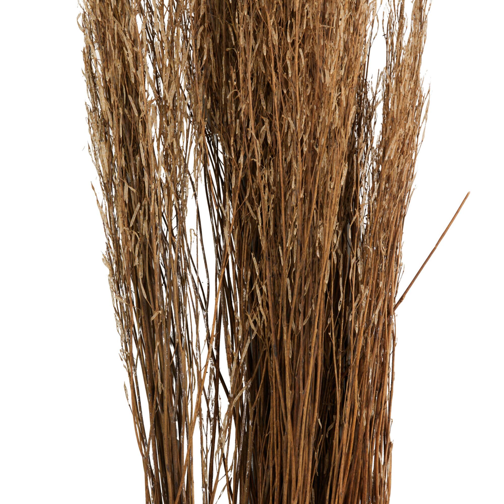 42" Brown Dried Natural Mustard Plant Foliage